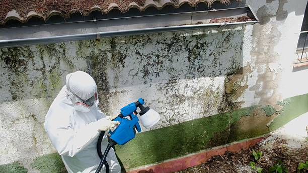 Trusted Mold Remediation service in Hesston, PA - Cheap Mold Removal